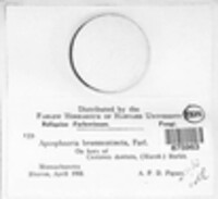 Image Associated With the Occurence